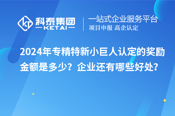 2024年專精特新小巨人認(rèn)定的獎(jiǎng)勵(lì)金額是多少？企業(yè)還有哪些好處？