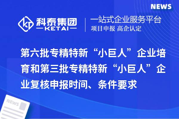 第六批專精特新“小巨人”企業(yè)培育和第三批專精特新“小巨人”企業(yè)復(fù)核申報時間、條件要求、補助獎勵