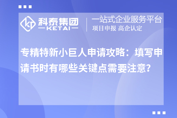 專精特新小巨人申請(qǐng)攻略：填寫(xiě)申請(qǐng)書(shū)時(shí)有哪些關(guān)鍵點(diǎn)需要注意？