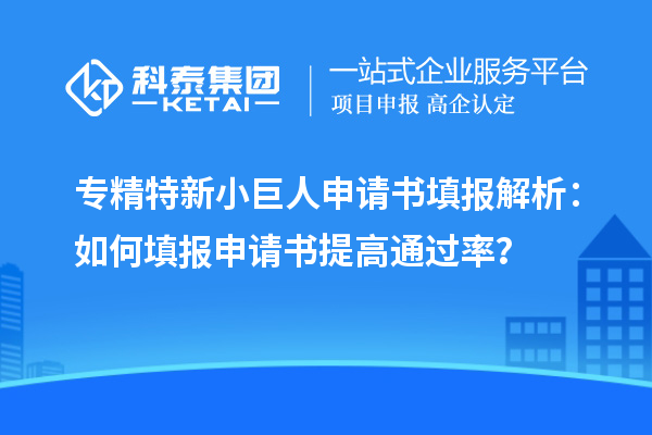 專精特新小巨人申請(qǐng)書(shū)填報(bào)解析：如何填報(bào)申請(qǐng)書(shū)提高通過(guò)率？