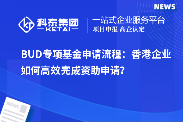 BUD專項(xiàng)基金申請(qǐng)流程：香港企業(yè)如何高效完成資助申請(qǐng)？