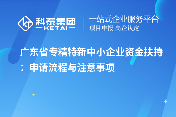 廣東省專精特新中小企業(yè)資金扶持：申請(qǐng)流程與注意事項(xiàng)