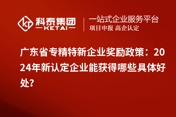 廣東省專精特新企業(yè)獎(jiǎng)勵(lì)政策：2024年新認(rèn)定企業(yè)能獲得哪些具體好處？