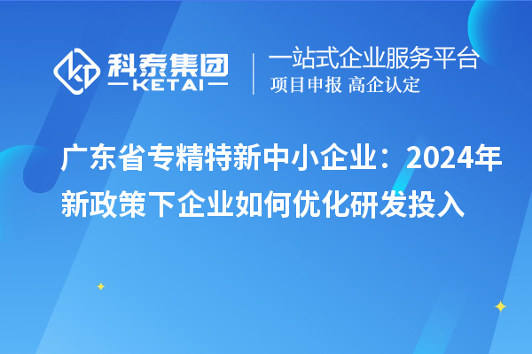 廣東省專精特新中小企業(yè)：2024年新政策下企業(yè)如何優(yōu)化研發(fā)投入