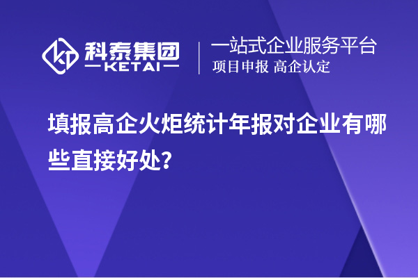  填報(bào)高企火炬統(tǒng)計(jì)年報(bào)對(duì)企業(yè)有哪些直接好處？