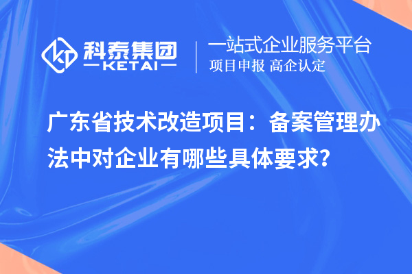 廣東省技術(shù)改造項(xiàng)目：備案管理辦法中對(duì)企業(yè)有哪些具體要求？