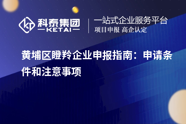 黃埔區(qū)瞪羚企業(yè)申報指南：申請條件和注意事項