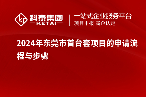 2024年東莞市首臺套項(xiàng)目的申請流程與步驟