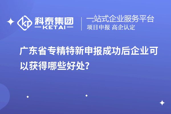 廣東省專精特新申報成功后企業(yè)可以獲得哪些好處？