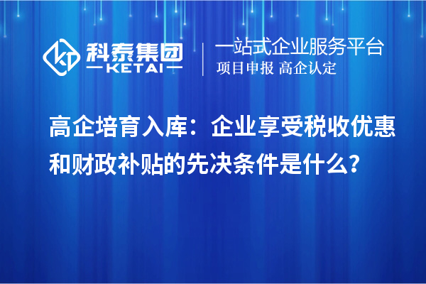 高企培育入庫：企業(yè)享受稅收優(yōu)惠和財政補貼的先決條件是什么？