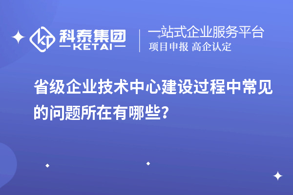 省級(jí)企業(yè)技術(shù)中心建設(shè)過程中常見的問題所在有哪些？