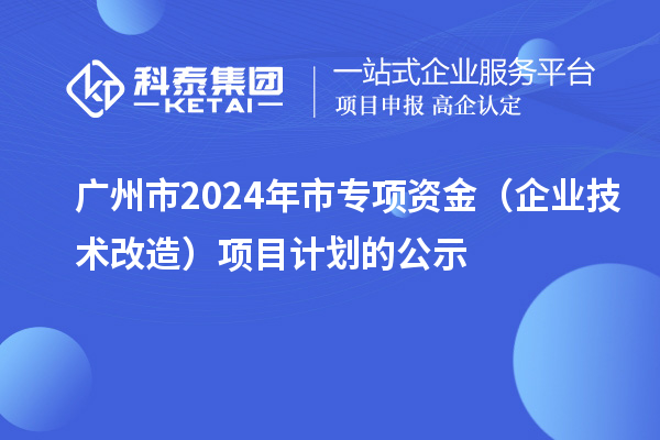 廣州市2024年市專項資金（企業(yè)技術(shù)改造）項目計劃的公示