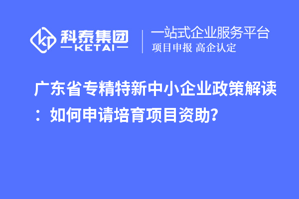 廣東省專精特新中小企業(yè)政策解讀：如何申請培育項(xiàng)目資助？