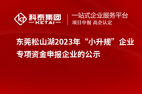 東莞松山湖2023年“小升規(guī)”企業(yè)專項資金申報企業(yè)的公示