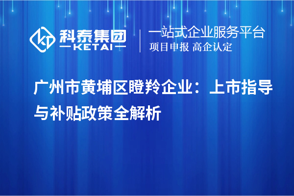 廣州市黃埔區(qū)瞪羚企業(yè)：上市指導與補貼政策全解析