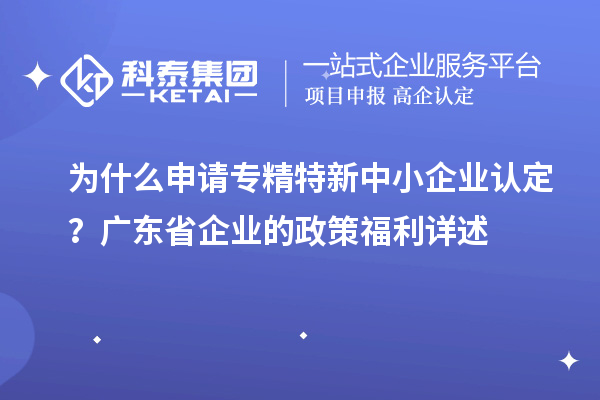 為什么申請(qǐng)專精特新中小企業(yè)認(rèn)定？廣東省企業(yè)的政策福利詳述