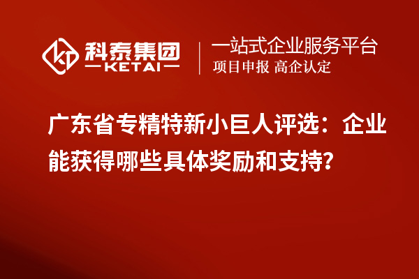 廣東省專精特新小巨人評(píng)選：企業(yè)能獲得哪些具體獎(jiǎng)勵(lì)和支持？