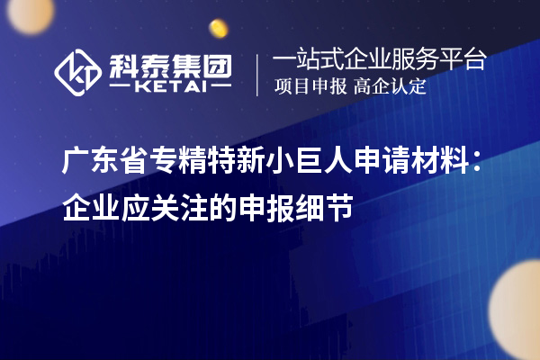 廣東省專精特新小巨人申請材料：企業(yè)應關注的申報細節(jié)