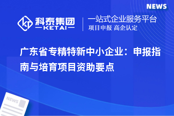 廣東省專(zhuān)精特新中小企業(yè)：申報(bào)指南與培育項(xiàng)目資助要點(diǎn)