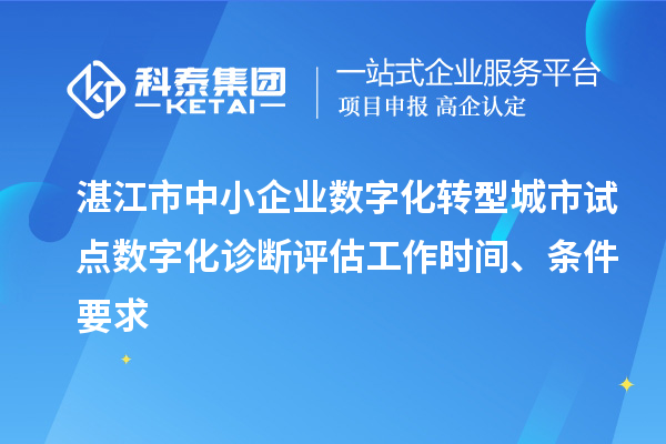 湛江市中小企業(yè)數(shù)字化轉(zhuǎn)型城市試點數(shù)字化診斷評估工作時間、條件要求