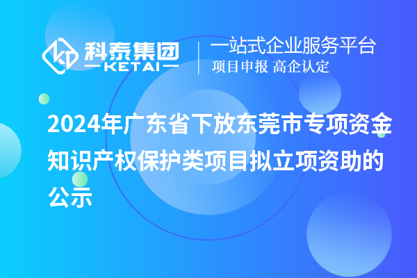 2024年廣東省下放東莞市專項(xiàng)資金知識(shí)產(chǎn)權(quán)保護(hù)類項(xiàng)目擬立項(xiàng)資助的公示