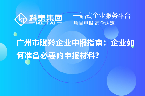 廣州市瞪羚企業(yè)申報(bào)指南：企業(yè)如何準(zhǔn)備必要的申報(bào)材料？