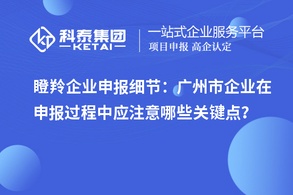 瞪羚企業(yè)申報(bào)細(xì)節(jié)：廣州市企業(yè)在申報(bào)過程中應(yīng)注意哪些關(guān)鍵點(diǎn)？