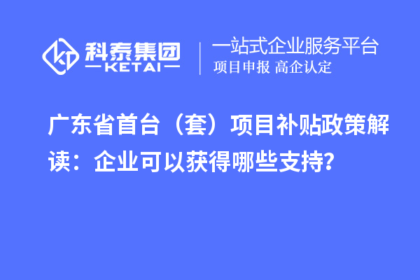 廣東省首臺(tái)（套）項(xiàng)目補(bǔ)貼政策解讀：企業(yè)可以獲得哪些支持？