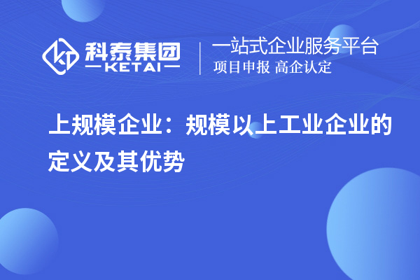 上規(guī)模企業(yè)：規(guī)模以上工業(yè)企業(yè)的定義及其優(yōu)勢(shì)