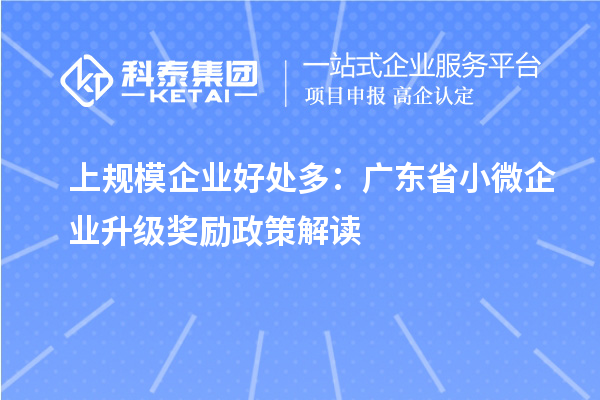 上規(guī)模企業(yè)好處多：廣東省小微企業(yè)升級(jí)獎(jiǎng)勵(lì)政策解讀