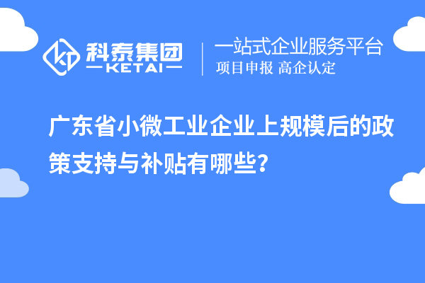 廣東省小微工業(yè)企業(yè)上規(guī)模后的政策支持與補貼有哪些？