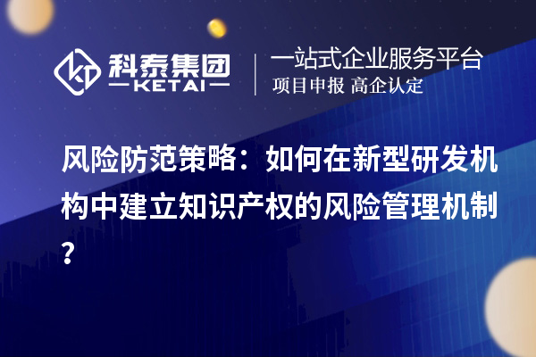 風(fēng)險(xiǎn)防范策略：如何在新型研發(fā)機(jī)構(gòu)中建立知識(shí)產(chǎn)權(quán)的風(fēng)險(xiǎn)管理機(jī)制？