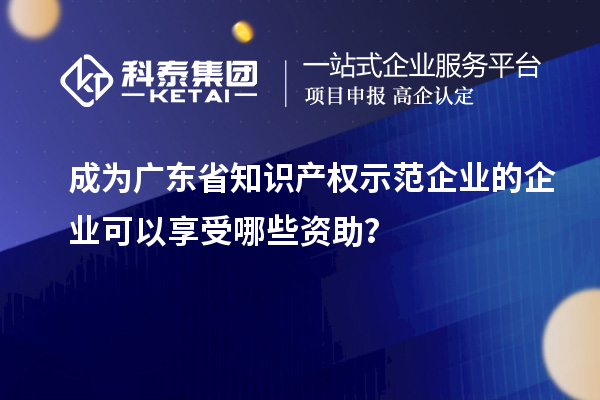 成為廣東省知識(shí)產(chǎn)權(quán)示范企業(yè)的企業(yè)可以享受哪些資助？