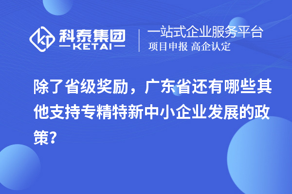 除了省級獎勵，廣東省還有哪些其他支持專精特新中小企業(yè)發(fā)展的政策？