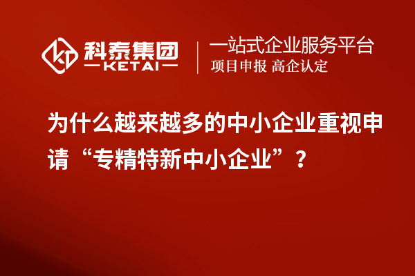 為什么越來越多的中小企業(yè)重視申請“專精特新中小企業(yè)”？