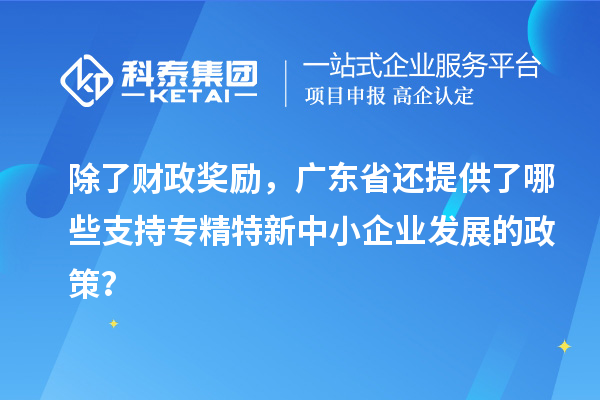 除了財政獎勵，廣東省還提供了哪些支持專精特新中小企業(yè)發(fā)展的政策？