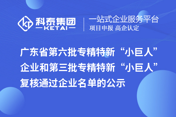 廣東省第六批專精特新“小巨人”企業(yè)和第三批專精特新“小巨人”復(fù)核通過(guò)企業(yè)名單的公示