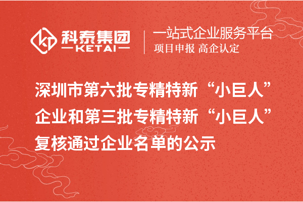 深圳市第六批專精特新“小巨人”企業(yè)和第三批專精特新“小巨人”復(fù)核通過企業(yè)名單的公示