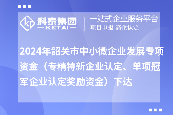 2024年韶關(guān)市中小微企業(yè)發(fā)展專項資金（專精特新企業(yè)認定、單項冠軍企業(yè)認定獎勵資金）下達