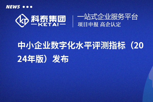 中小企業(yè)數(shù)字化水平評測指標(biāo)（2024年版）發(fā)布