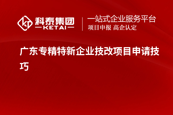 廣東專精特新企業(yè)技改項(xiàng)目申請(qǐng)技巧