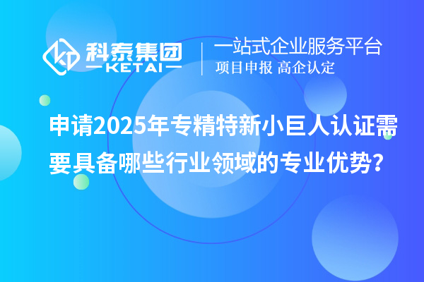 申請(qǐng)2025年專精特新小巨人認(rèn)證需要具備哪些行業(yè)領(lǐng)域的專業(yè)優(yōu)勢(shì)？