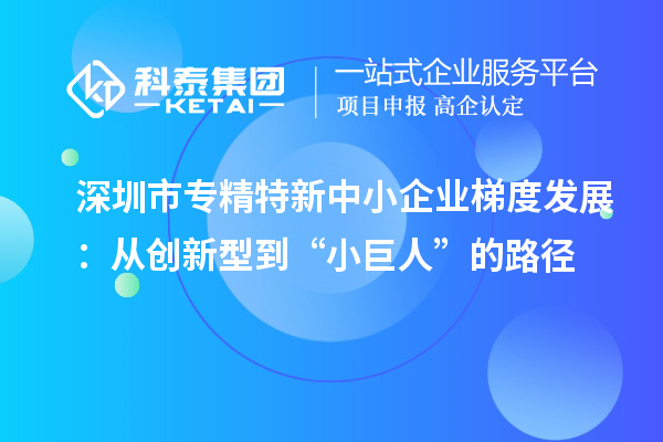 深圳市專精特新中小企業(yè)梯度發(fā)展：從創(chuàng)新型到“小巨人”的路徑