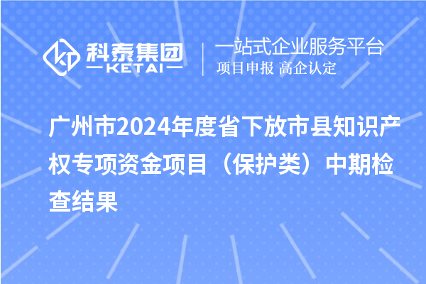 廣州市2024年度省下放市縣知識產權專項資金項目（保護類）中期檢查結果