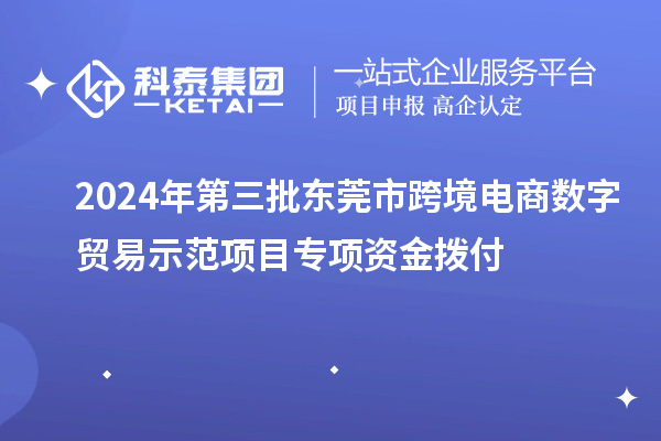 2024年第三批東莞市跨境電商數(shù)字貿(mào)易示范項目專項資金撥付