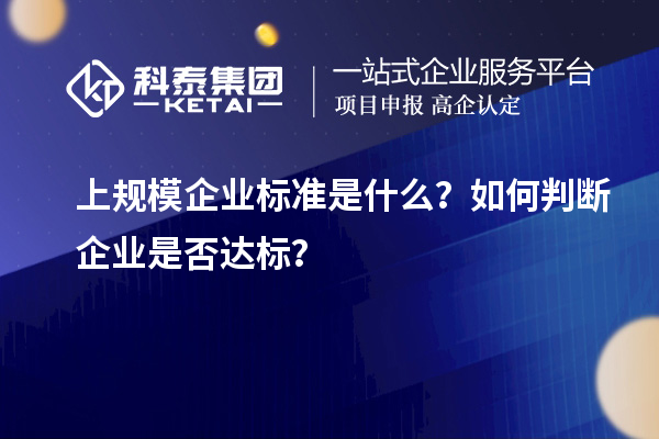 上規(guī)模企業(yè)標準是什么？如何判斷企業(yè)是否達標？