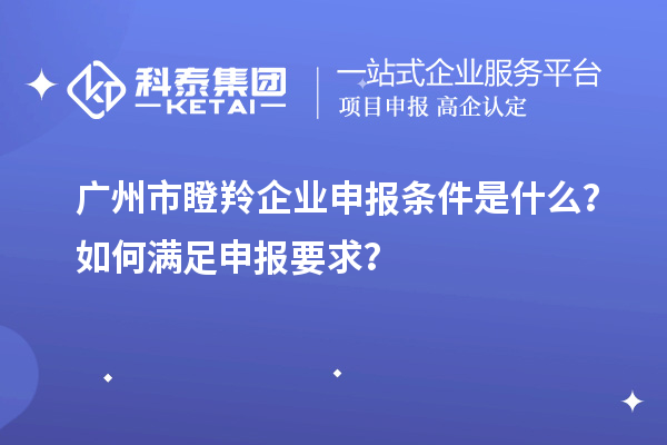 廣州市瞪羚企業(yè)申報(bào)條件是什么？如何滿足申報(bào)要求？