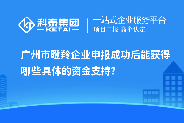 廣州市瞪羚企業(yè)申報(bào)成功后能獲得哪些具體的資金支持？