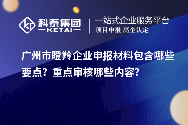 廣州市瞪羚企業(yè)申報(bào)材料包含哪些要點(diǎn)？重點(diǎn)審核哪些內(nèi)容？