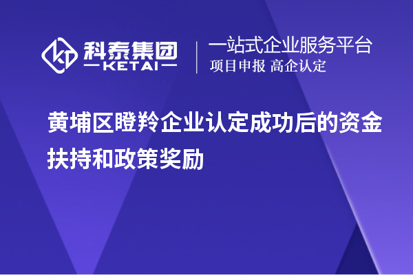 黃埔區(qū)瞪羚企業(yè)認(rèn)定成功后的資金扶持和政策獎(jiǎng)勵(lì)